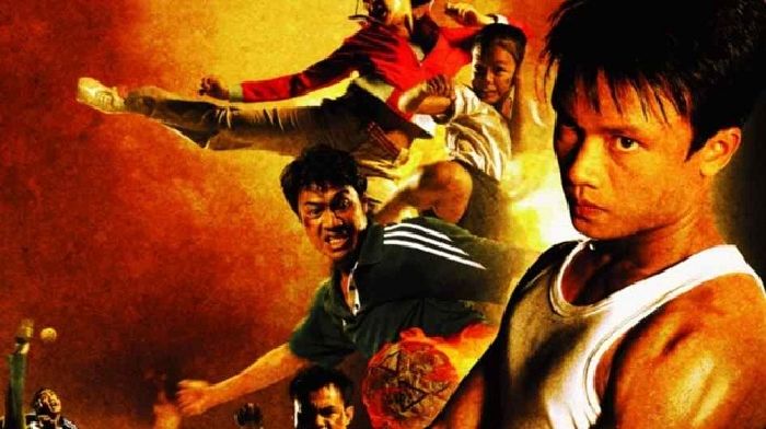 Sinh ra để chiến đấu (Born to fight)