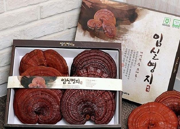 Cửa hàng nấm linh chi Hàn Quốc trên đường Phan Đăng Lưu