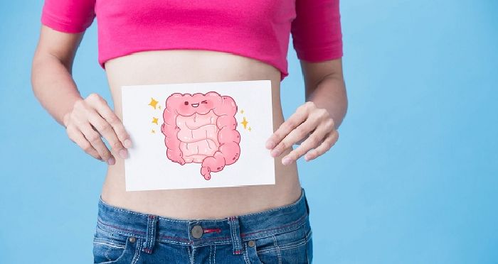 Tác dụng đối với hệ tiêu hóa