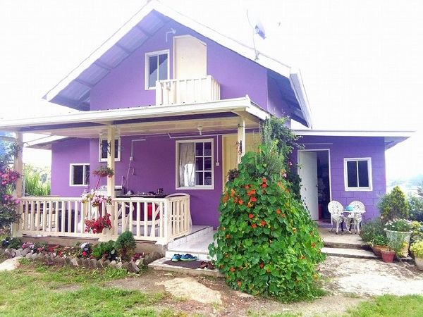 Homstay Puplehouse