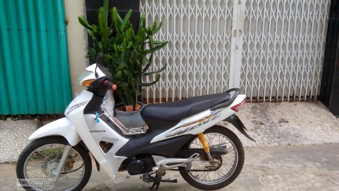 Xe Wave A màu trắng