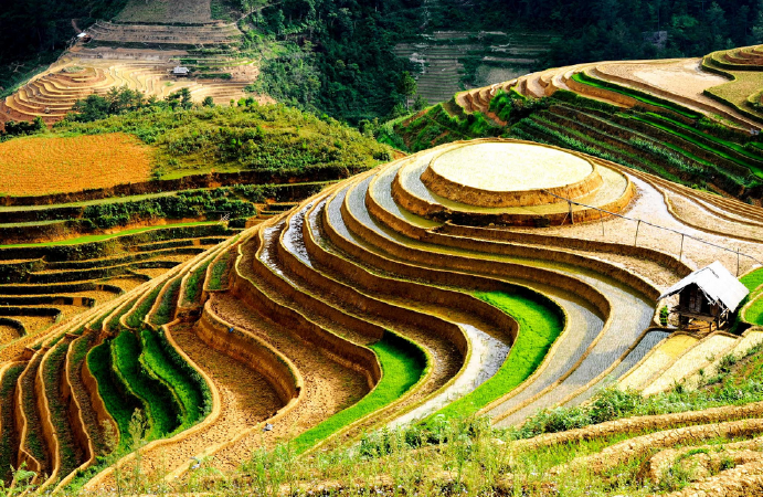 Cao Nguyên Hùng Vĩ Tây Bắc