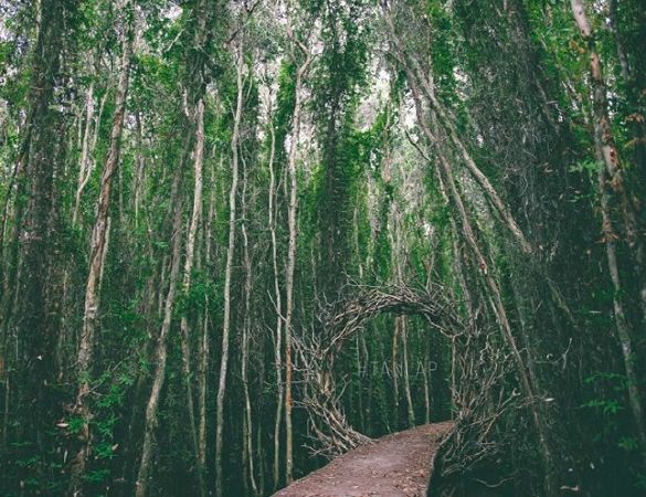 Làng Nổi Tân Lập của Long An