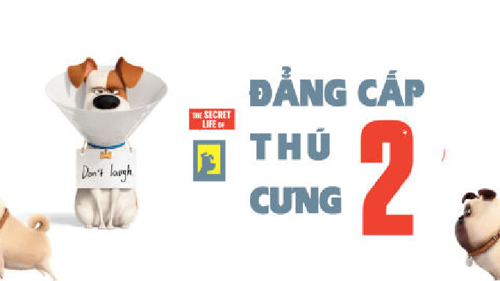 ĐẲNG CẤP THÚ CƯNG 2