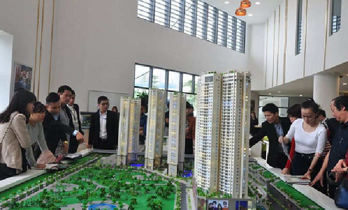 Khảo sát dự án