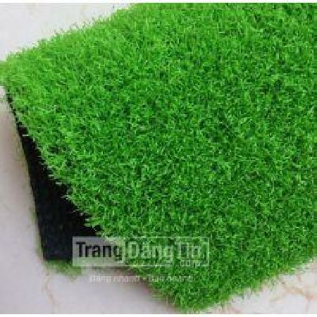 Cỏ Golf Nhân Tạo