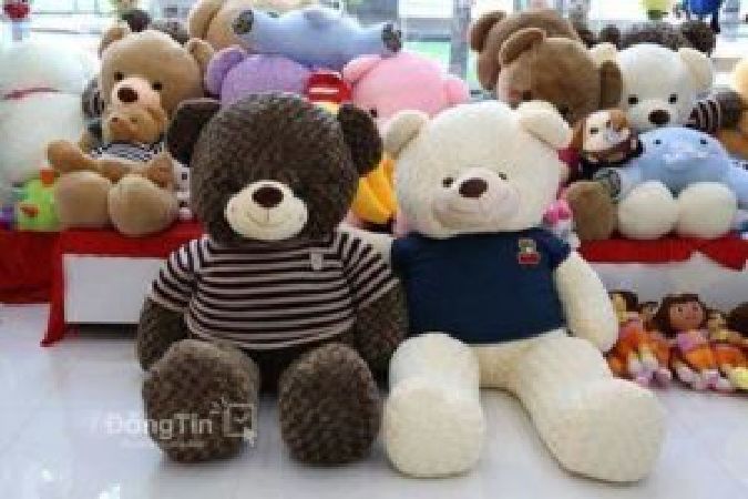 Gấu Bông Cao Cấp Dành Tặng Nữa Yêu Thương