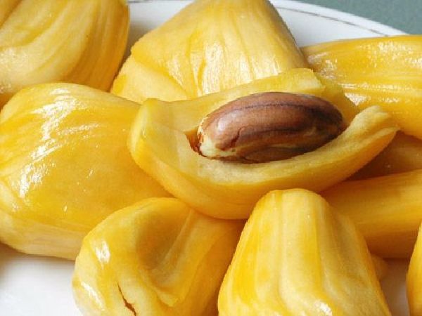 Mít Nghệ