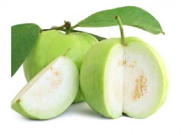 Ổi Đài Loan
