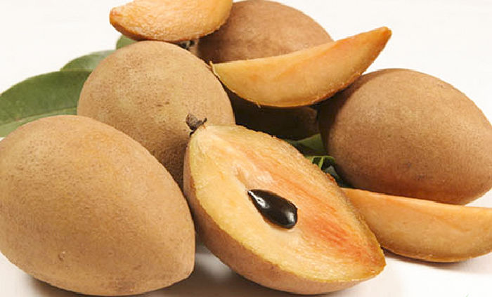 Hồng xiêm – loại trái ngọt mát