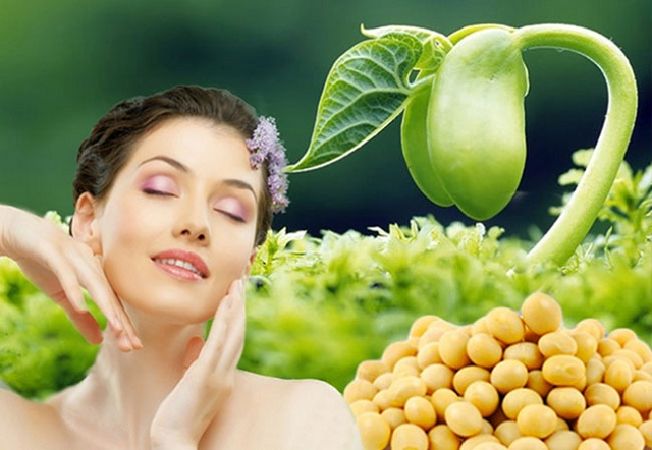 Viên uống mầm đậu nành Doppelherz Lecithin + vitamin B