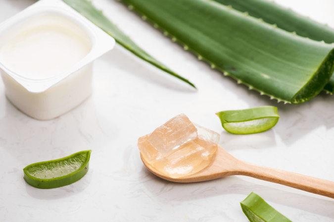 Làm sữa chua nha đam