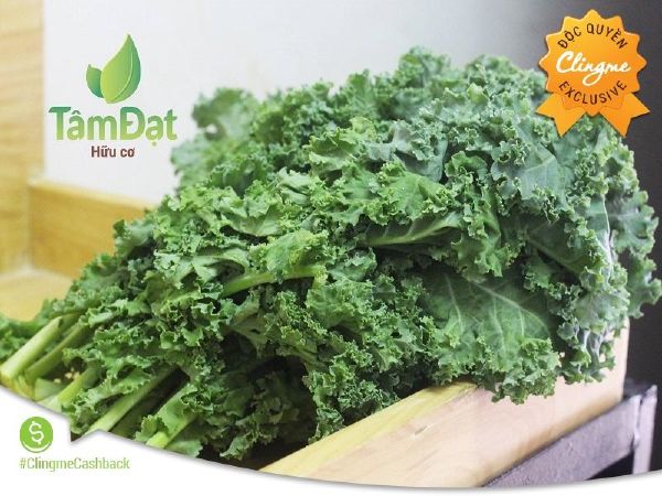 Tâm Đạt hữu cơ