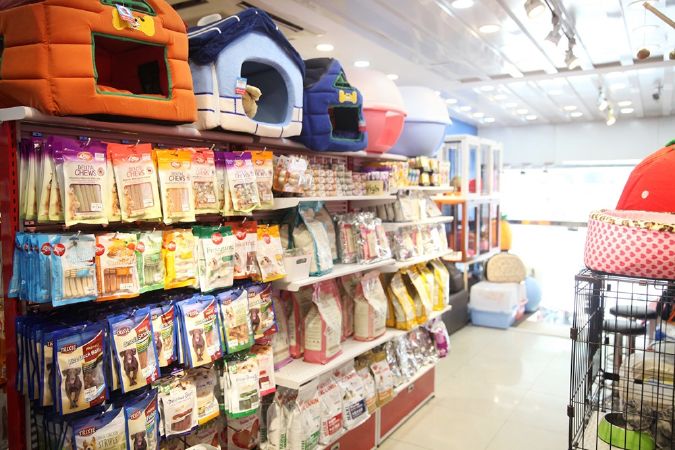 Top 5 địa chỉ cung cấp dịch vụ chăm sóc thú cưng tốt nhất tại Hà Nội
