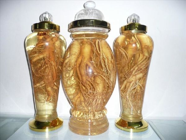 Rượu ngâm nhân sâm