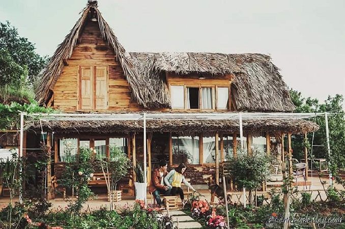 Các homestay đẹp ở Đà Lạt - Về nhà thôi