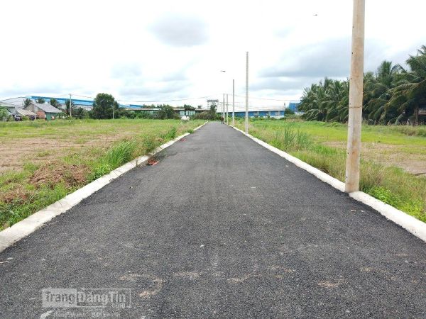 Đất nền Bình Chánh Đại Lộ Trần Văn Giàu