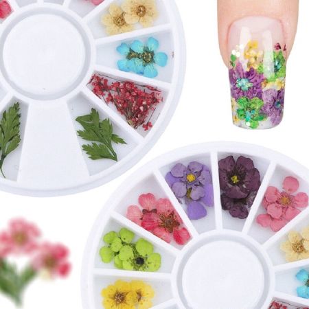 Phụ kiện Nail Art