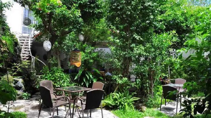 Café Miền Thùy Dương