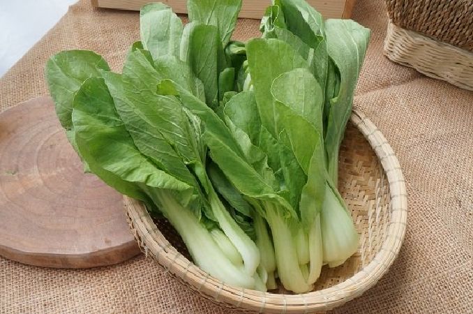 Cải thìa