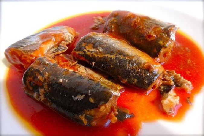 Cá mòi và cá đóng hộp