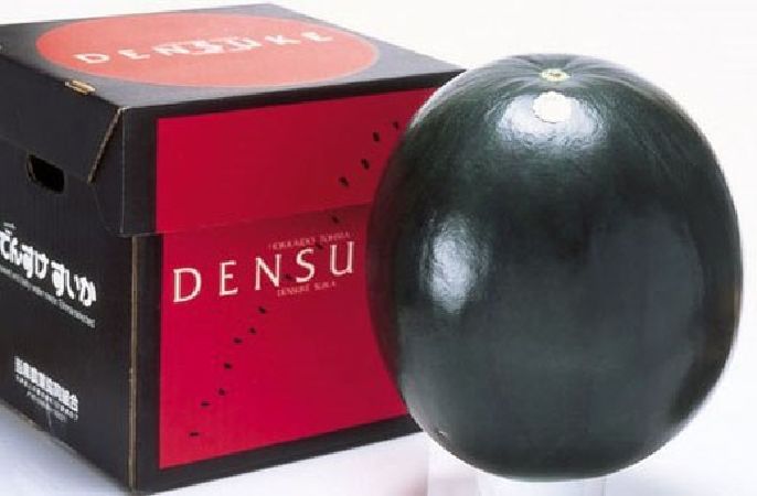 Dưa hấu đen ( 136 triệu đồng)
