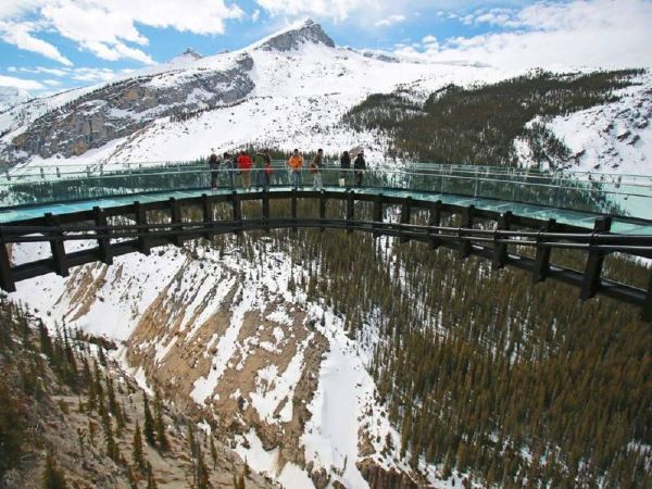 Cầu kính Glacier (Jasper, Canada)