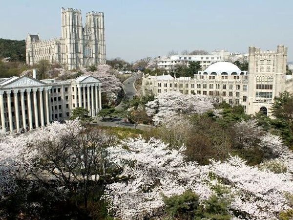 Đại học Kyunghee