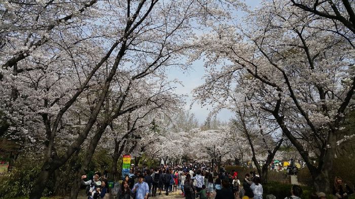 Công viên thiếu nhi Seoul