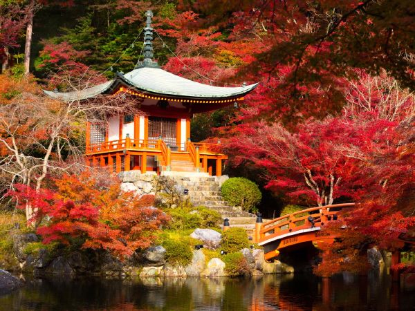 Kyoto, Nhật Bản