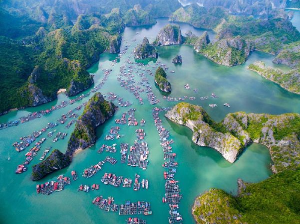 Đảo Cát Bà