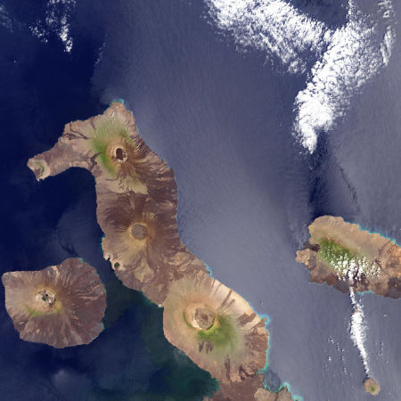 Đảo Cá Ngựa - Ecuador