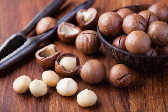 Hạt macadamia – mắc ca