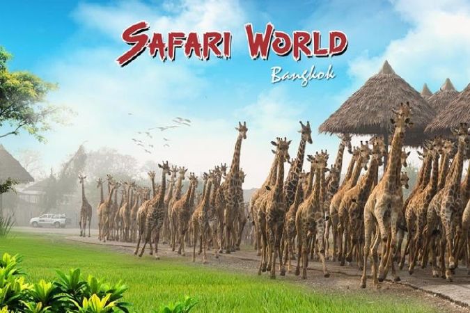 Safari World