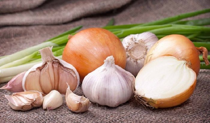 Cái gì cũng cho vào tủ lạnh