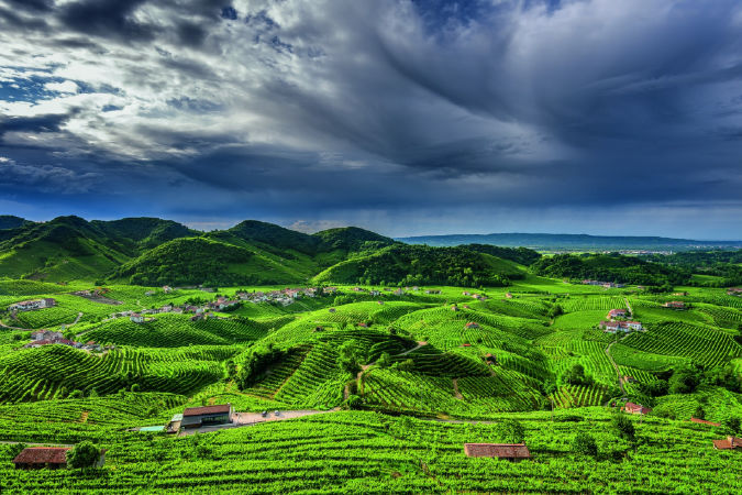 Vùng đồi nho Prosecco (Ý)