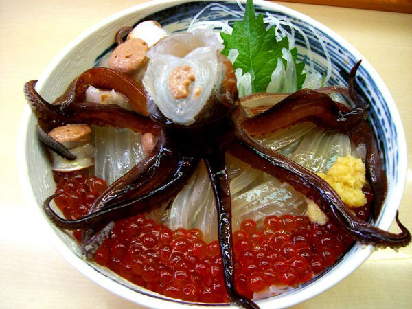 Mực nhảy