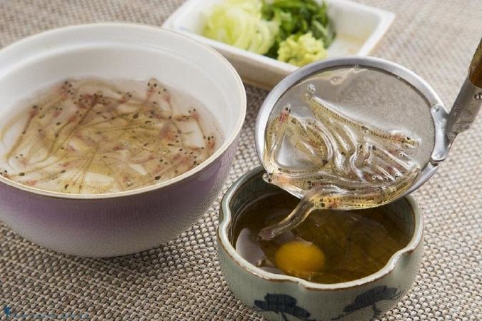 Cá nhảy múa - Shirouo no Odorigui