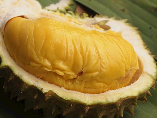 Gây ngủ và giảm trầm cảm