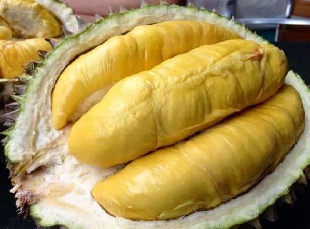 Điều trị vô sinh ở người mắc buồng trứng đa nang