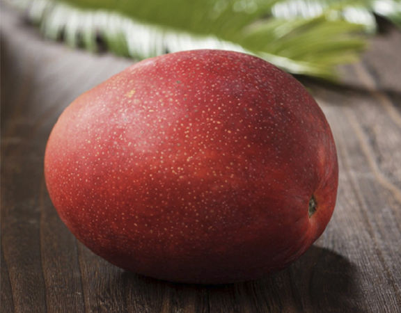 Xoài Taiyo-no-Tamago