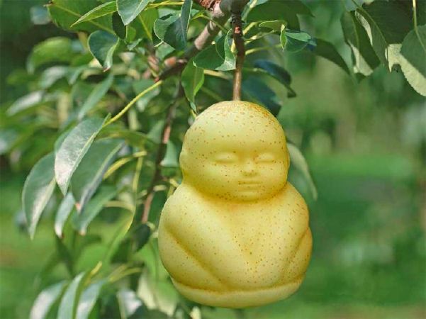 Lê hình Phật