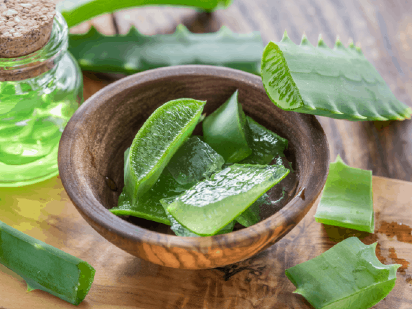 Dưỡng ẩm cho da bằng nha đam