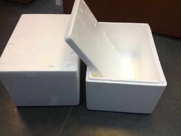 Cách làm giá đỗ bằng thùng xốp và tro trấu