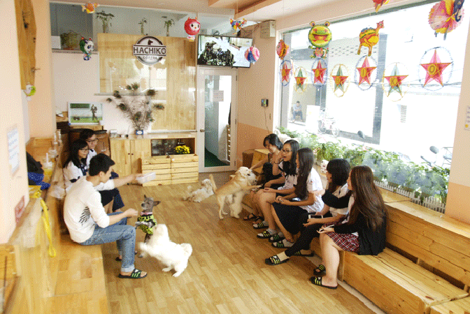 Hachiko Coffee