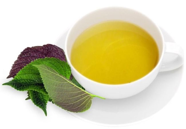 Nước sắc tía tô, kinh giới