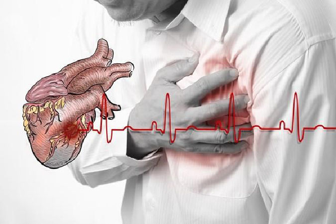 Đậu đen phòng chống bệnh tim mạch