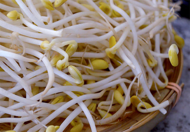 Giá đỗ