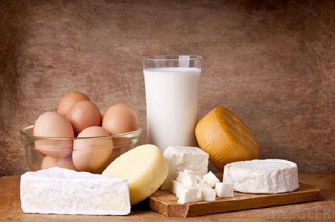 Các sản phẩm sữa