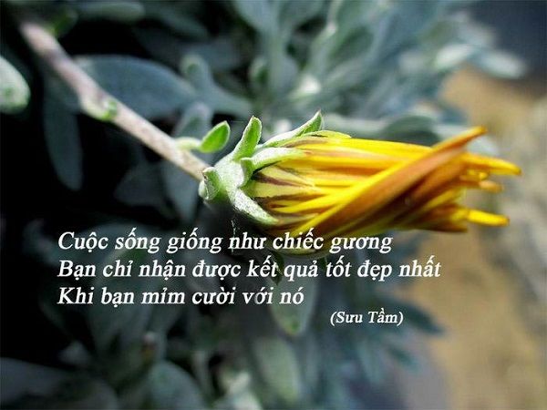 Câu nói ý nghĩa về cuộc sống